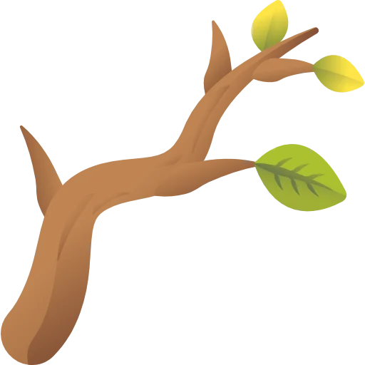 Branch