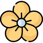 Flower (1)