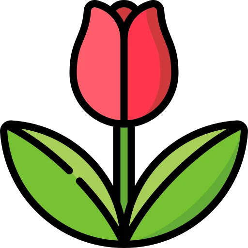 Flower (2)
