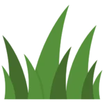 Grass