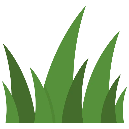 Grass